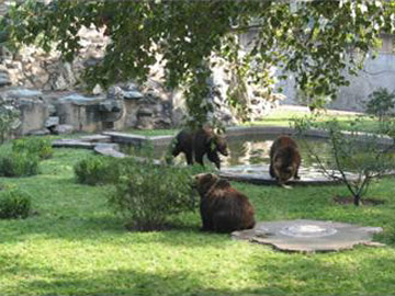 New Bear Zone