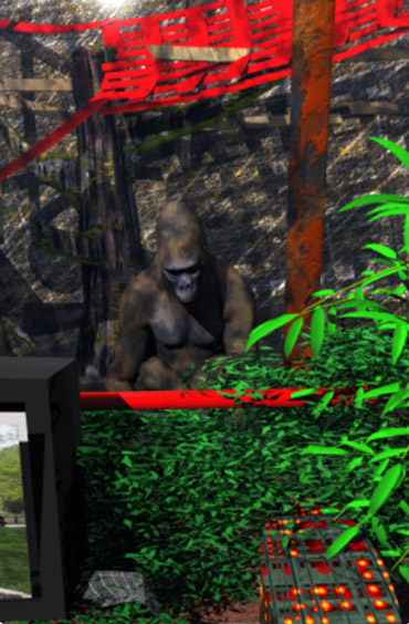 Design for Gorilla Inner Zone Enrichment